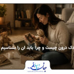 دختری که عروسکی در دست چپ و عکسی در دست راست دارد