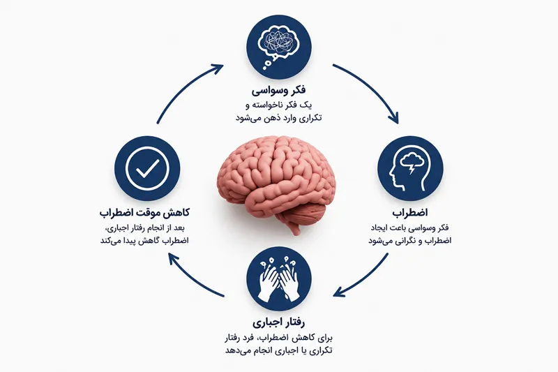 چرخه افکار وسواسی و رفتارهای اجباری در OCD